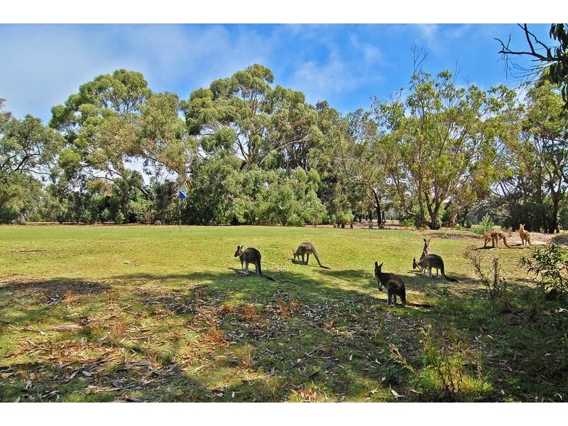 59A Noble Street, Anglesea VIC 3230
