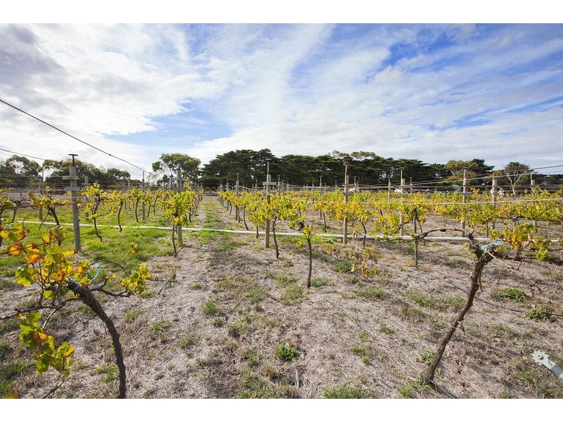 34 Randles Road, Connewarre VIC 3227