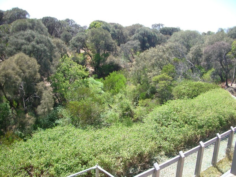 14  Bayview Terrace, Torquay VIC 3228