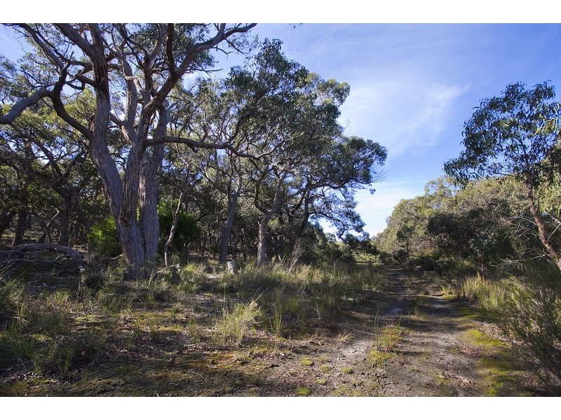 245 Elkington Road, Bellbrae VIC 3228