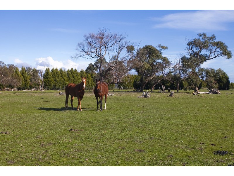 245 Elkington Road, Bellbrae VIC 3228