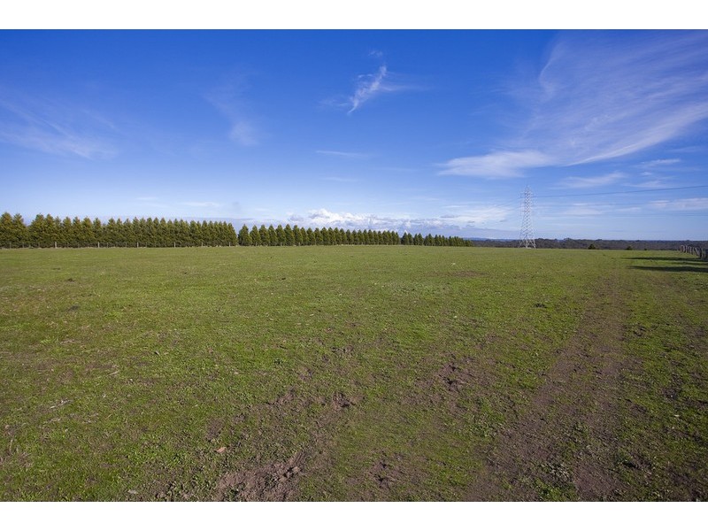 245 Elkington Road, Bellbrae VIC 3228