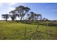 245 Elkington Road, Bellbrae VIC 3228