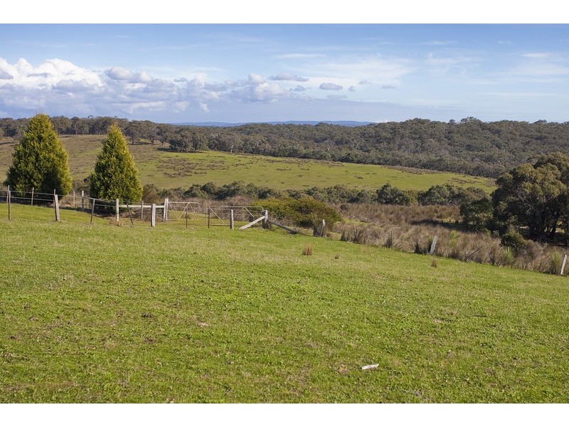 245 Elkington Road, Bellbrae VIC 3228