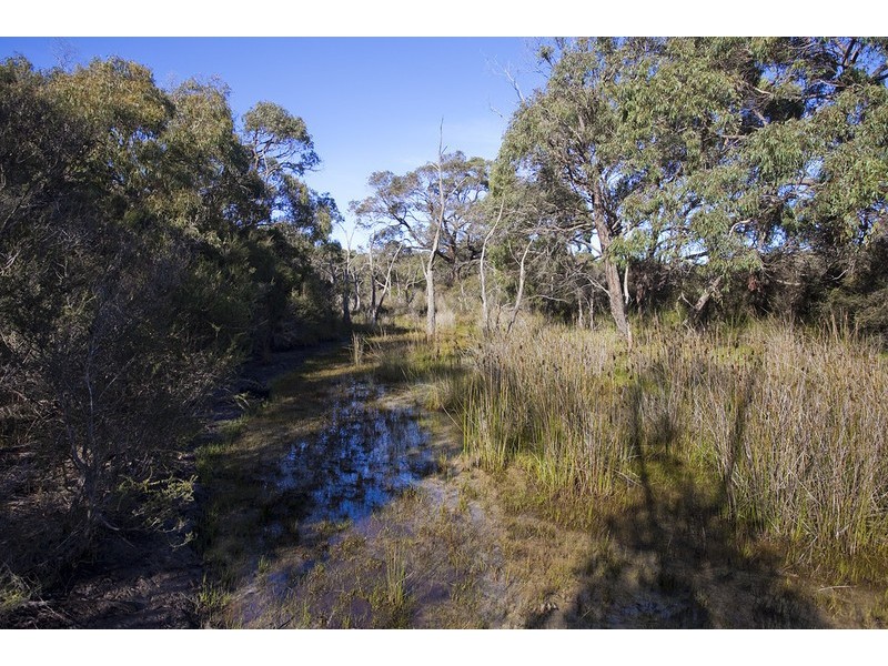 245 Elkington Road, Bellbrae VIC 3228