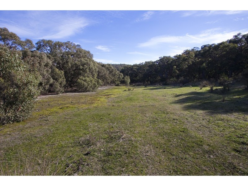 245 Elkington Road, Bellbrae VIC 3228