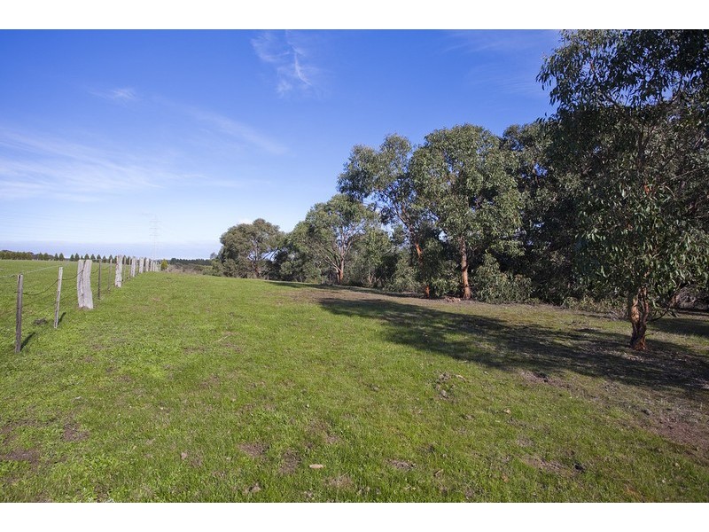 245 Elkington Road, Bellbrae VIC 3228