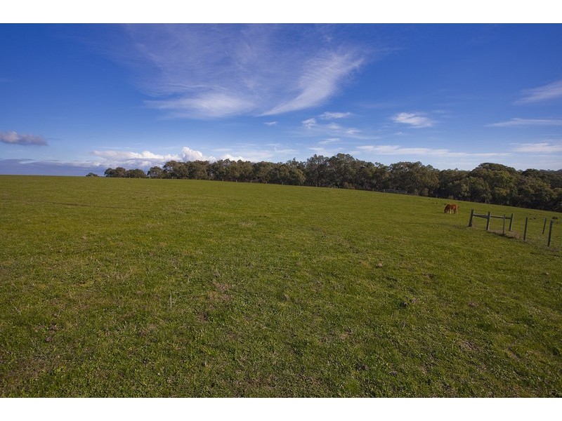 245 Elkington Road, Bellbrae VIC 3228