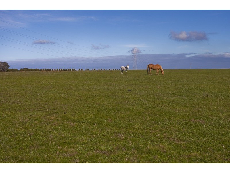 245 Elkington Road, Bellbrae VIC 3228