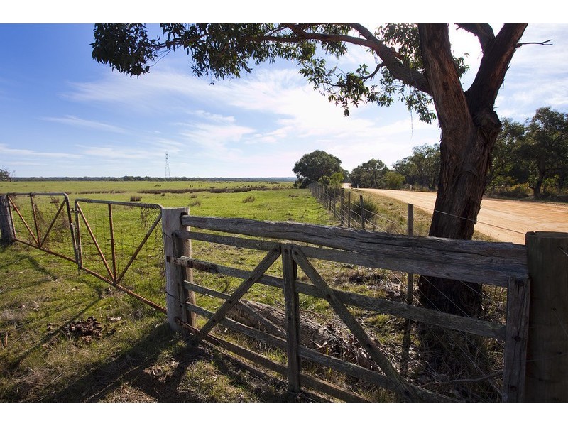 245 Elkington Road, Bellbrae VIC 3228