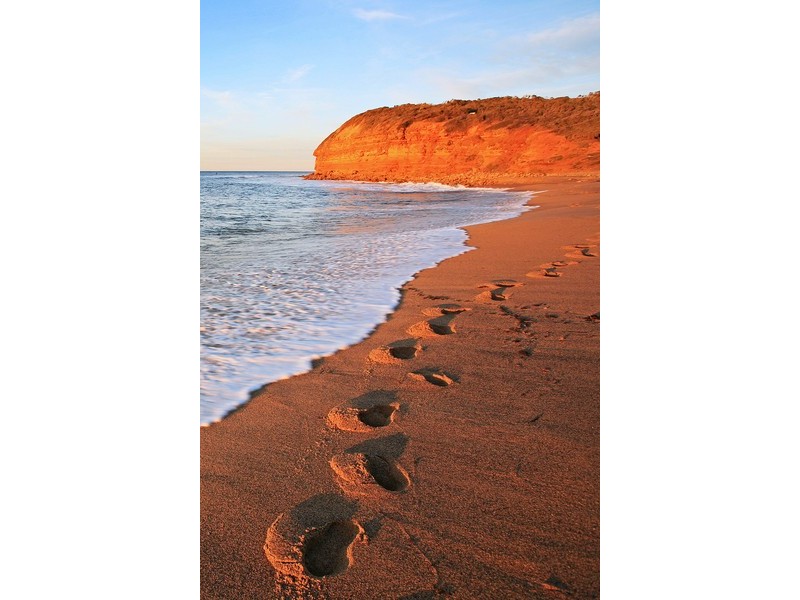 1/24 Kenvarra Crescent, Jan Juc VIC 3228