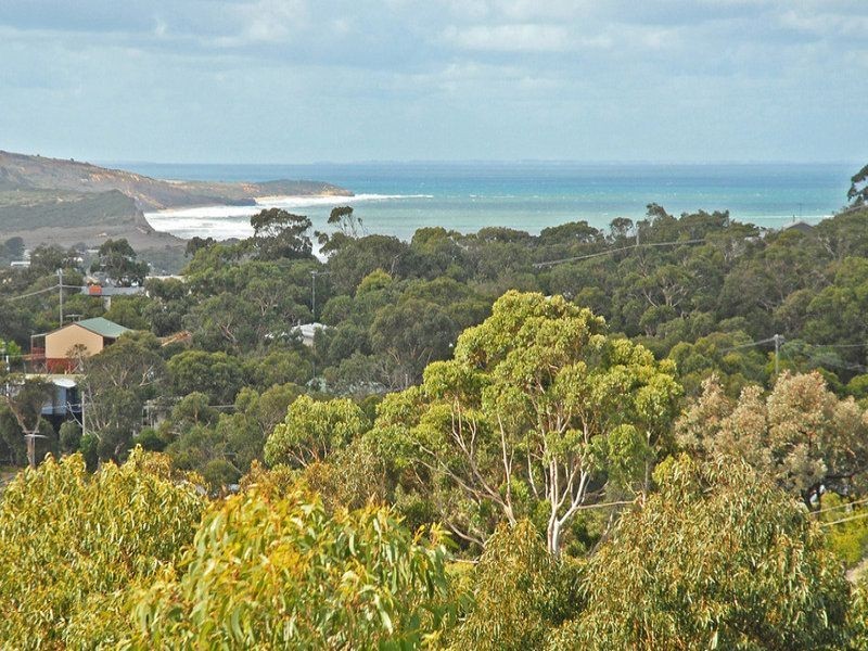 129 Noble Street, Anglesea VIC 3230