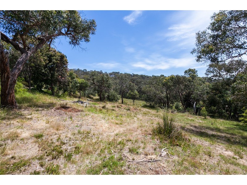 12 Bachli Court, Anglesea VIC 3230