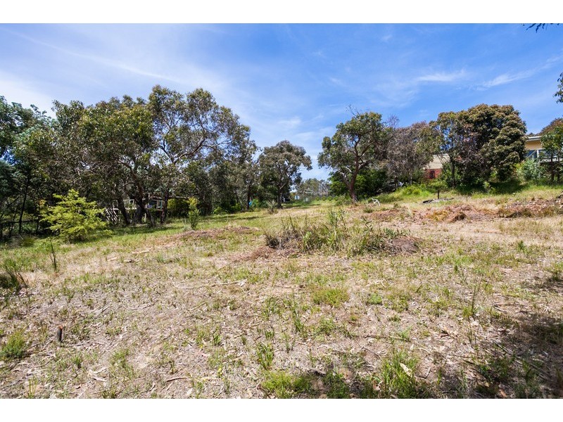 12 Bachli Court, Anglesea VIC 3230