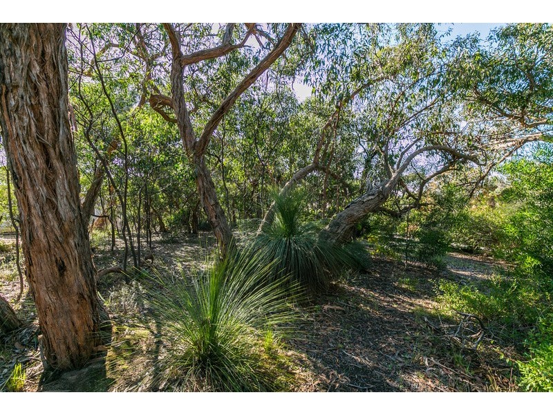 13 Birkdale Close, Anglesea VIC 3230