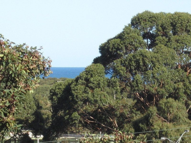 15 Walker Street, Anglesea VIC 3230