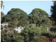 15 Walker Street, Anglesea VIC 3230