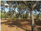 45 Pickworth Drive, Anglesea VIC 3230