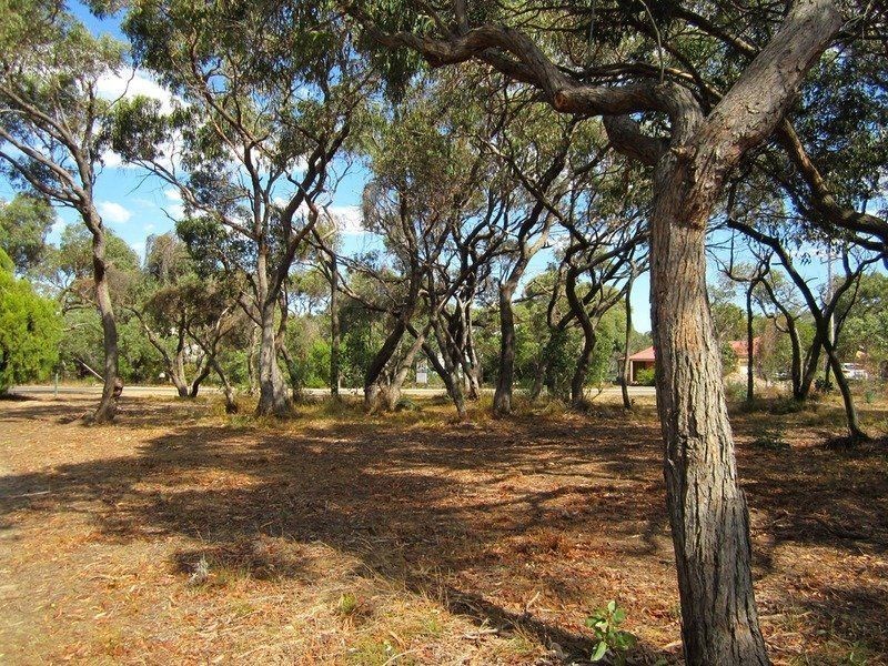 45 Pickworth Drive, Anglesea VIC 3230