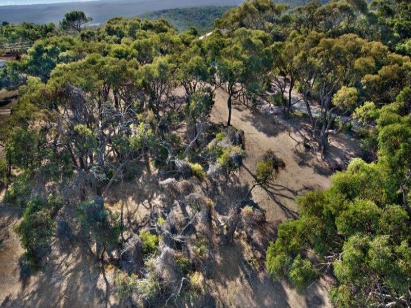 45 Pickworth Drive, Anglesea VIC 3230