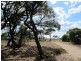 45 Pickworth Drive, Anglesea VIC 3230