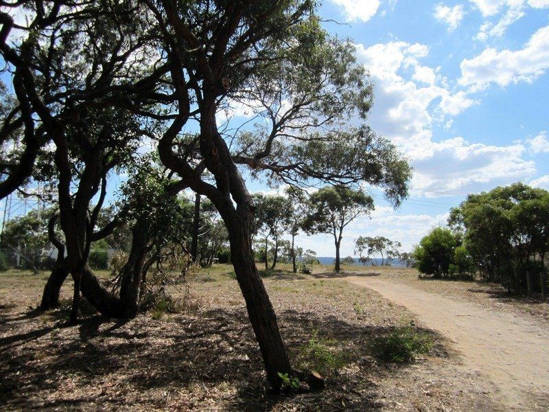 45 Pickworth Drive, Anglesea VIC 3230