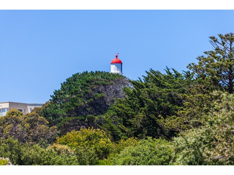 10 Painkalac Court, Aireys Inlet VIC 3231