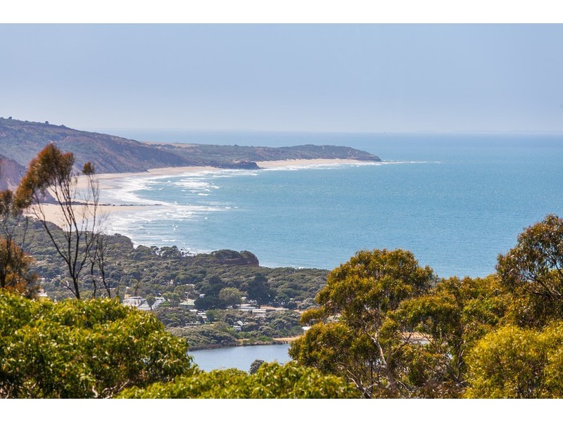 67 Harvey Street, Anglesea VIC 3230