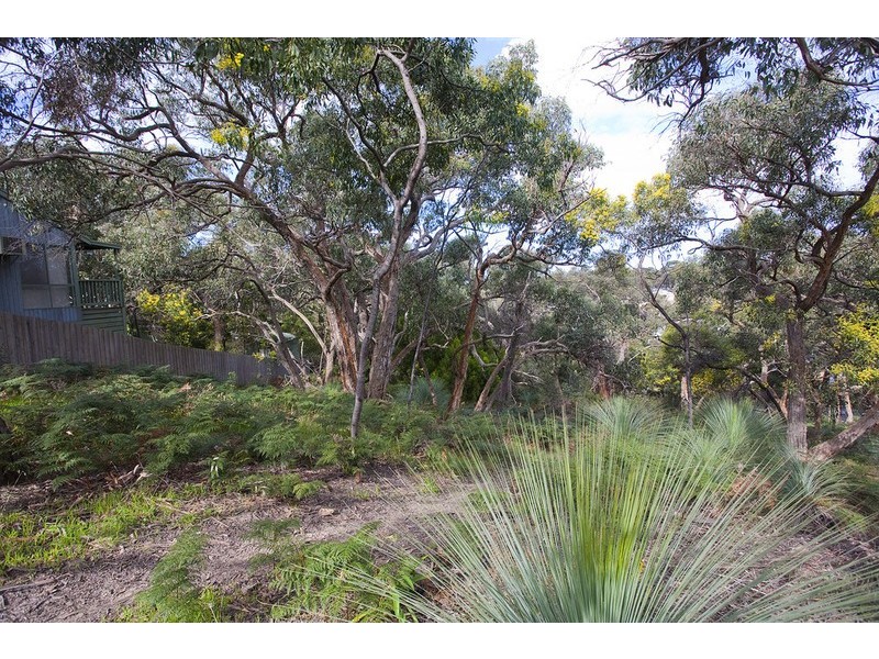 19 Weir Street, Anglesea VIC 3230