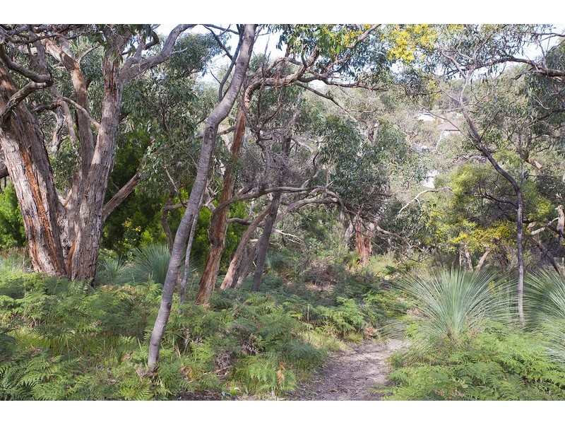 19 Weir Street, Anglesea VIC 3230