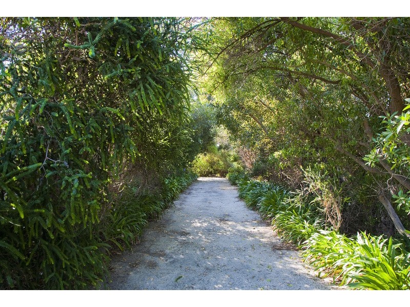 35A Harvey Street, Anglesea VIC 3230