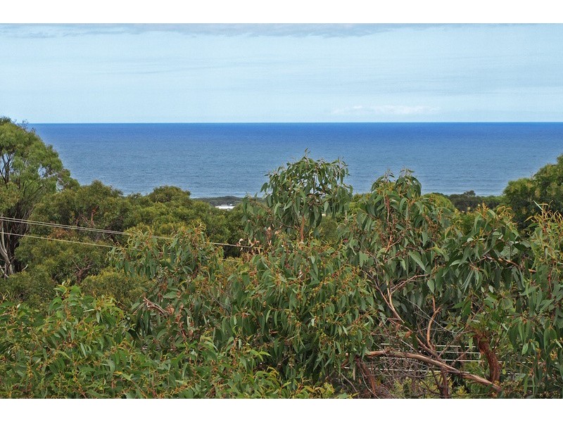 39 and 41  Second Avenue, Anglesea VIC 3230