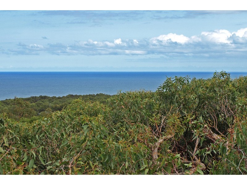 39 and 41  Second Avenue, Anglesea VIC 3230