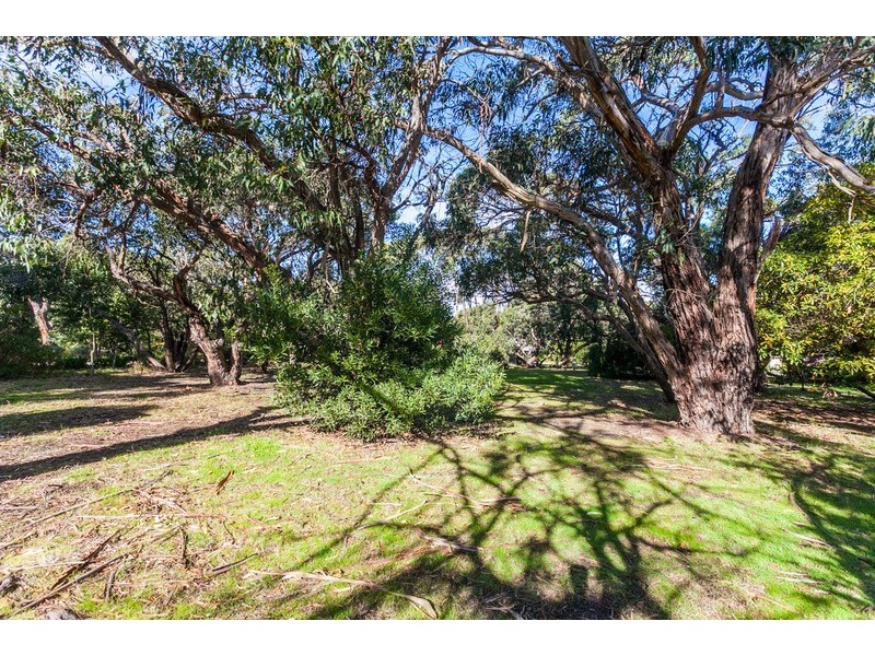 11 Second Avenue, Anglesea VIC 3230