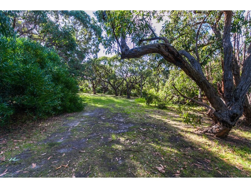 11 Second Avenue, Anglesea VIC 3230