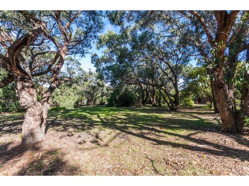 11 Second Avenue, Anglesea VIC 3230
