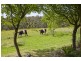 295 Parkers Road, Deans Marsh VIC 3235