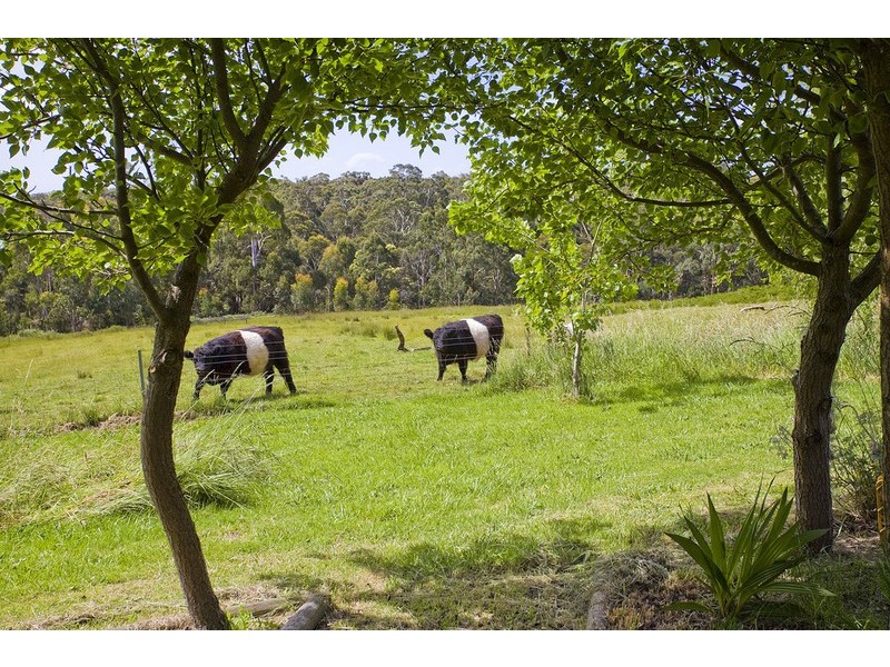 295 Parkers Road, Deans Marsh VIC 3235