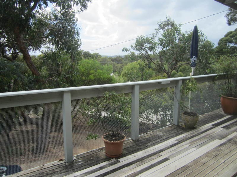 20 McMahon Avenue, Anglesea VIC 3230