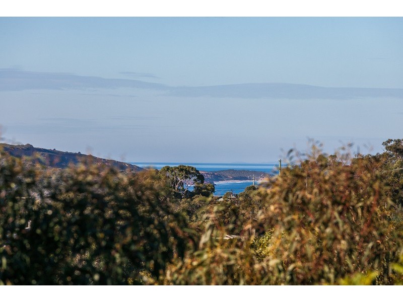 26  Belton Street, Anglesea VIC 3230