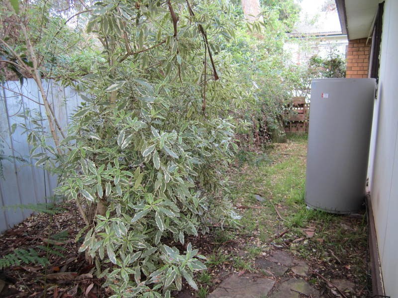 2/61 Camp Road, Anglesea VIC 3230