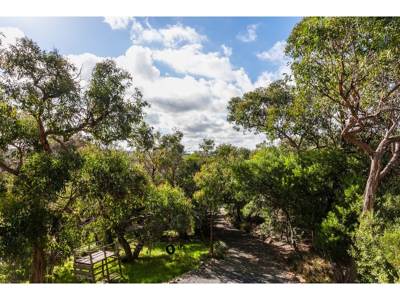 54  McMahon Avenue, Anglesea VIC 3230