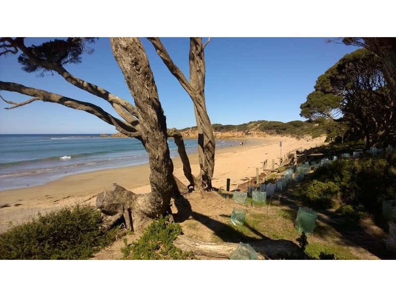 94  Melba Parade, Anglesea VIC 3230