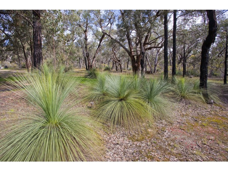 130 Bimbadeen Drive, Fairhaven VIC 3231