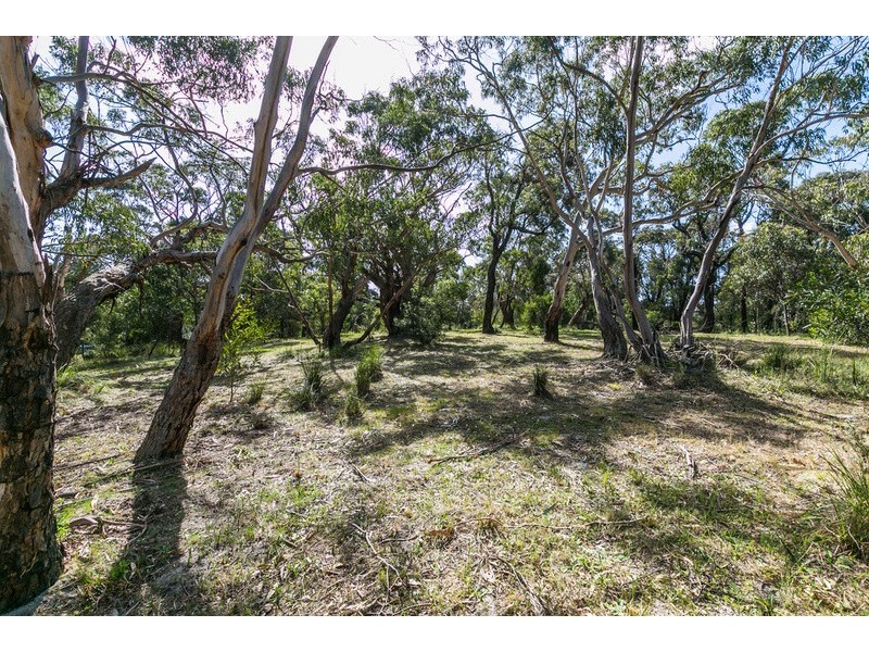 54 Aireys Street, Aireys Inlet VIC 3231