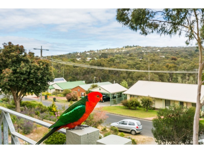 23 Chatswood  Drive, Anglesea VIC 3230