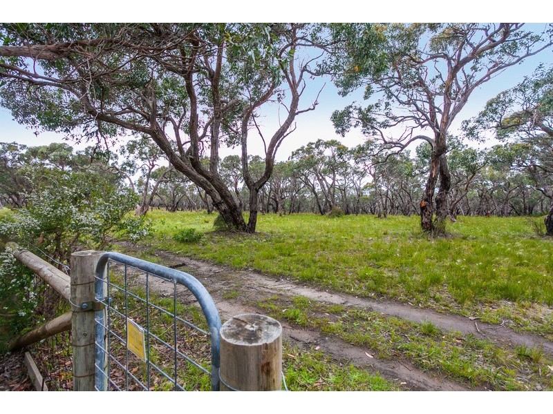 120 Harvey Street, Anglesea VIC 3230