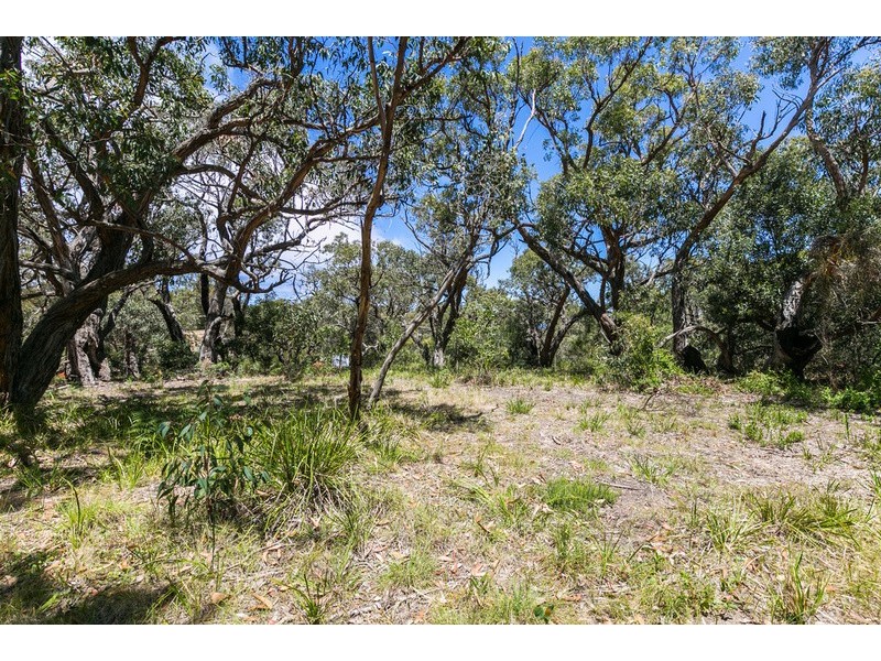 50 Aireys Street, Aireys Inlet VIC 3231