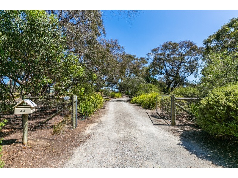 43  Pickworth Drive, Anglesea VIC 3230