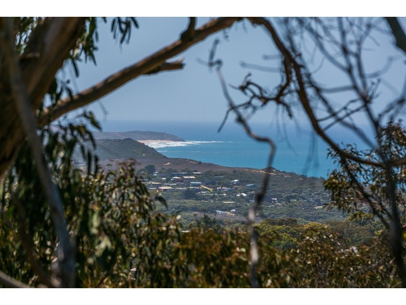 43  Pickworth Drive, Anglesea VIC 3230